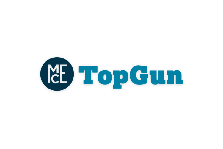 Top Gun - logo